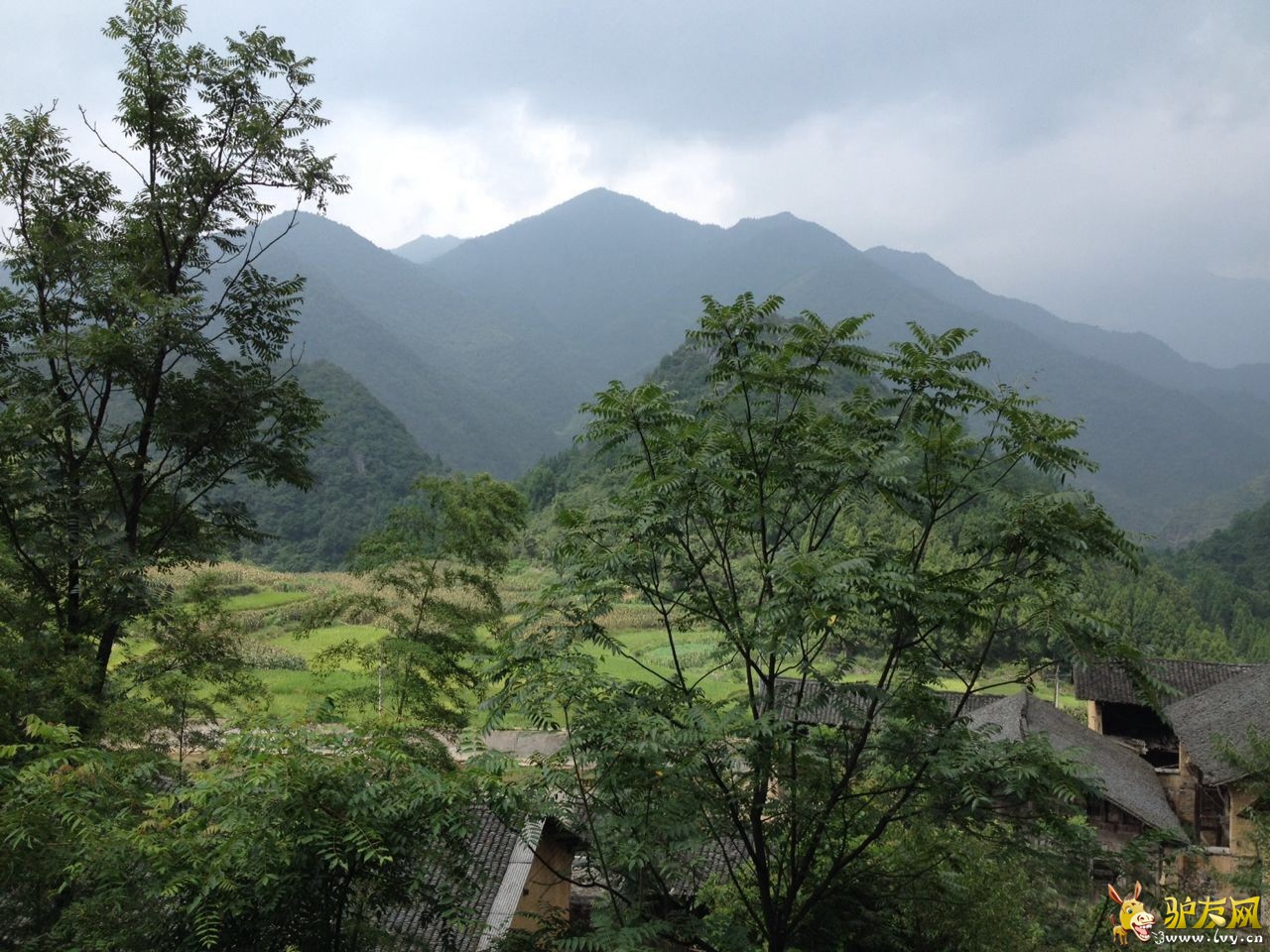 25b58917308c8ae6b088e2f5ea35fe7a������.jpg