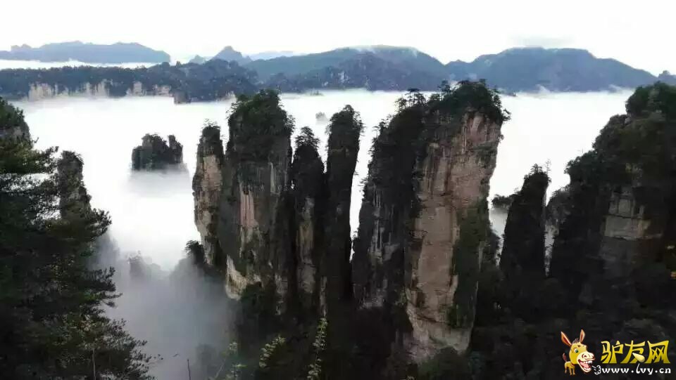 ��ָ���ƺ�.jpg