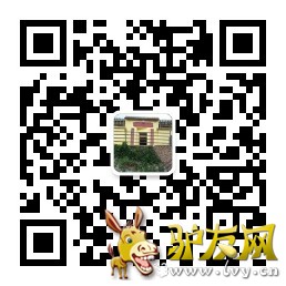 ���¸���ά��08cm.jpg